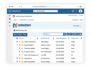 netDocShare Normal View